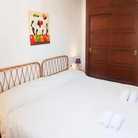 Alcor * 福尔内利斯